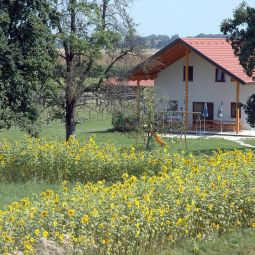  Bauernhof Sonnenblumenhof Fotos