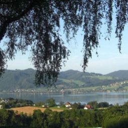 Panorama Seeblick Pension Fotos