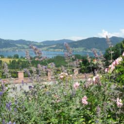 Panorama Seeblick Pension Fotos