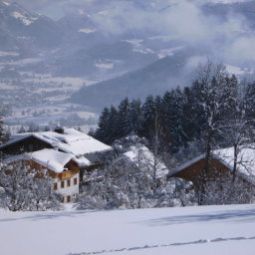 Bauernhof Biohof Gschwandt Fotos