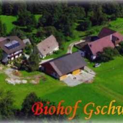  Bauernhof Biohof Gschwandt Fotos