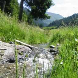 Widok z hotelu Bauernhof Schustererhof Fotos