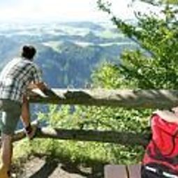 Widok z hotelu Zum Schiffmeister Gasthof Fotos