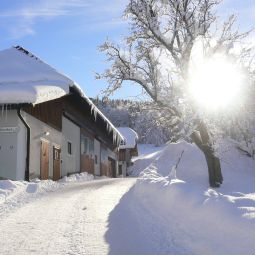 Bauernhof Pührethof Sankt Konrad 
