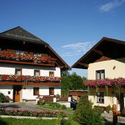 Bauernhof Andrea & Johannes Lindenbauer - Pension Steinbach am Attersee 