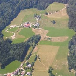 Bauernhof Hochserner-Hof Zell am Moos 