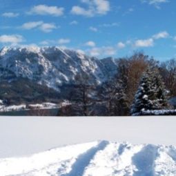Bauernhof Tremlhof Unterach 