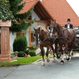 Bauernhof Schwalbenhof Sankt Stefan im Rosental 