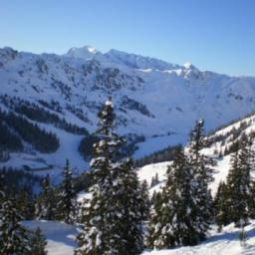 Fitness room Eckartauerhof Gasthof Fotos