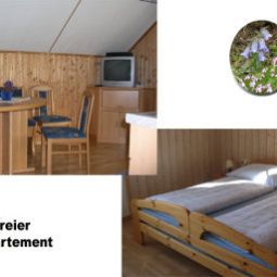 Bauernhof Biobauernhof Plachl Göstling 