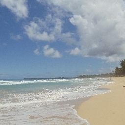  La Tortuga Fotos