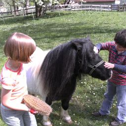  Bauernhof Urlaub am Bauernhof PRÖLLERHOF Fotos