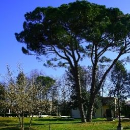Vista esterna Villa Giustinian Park Hotel Fotos
