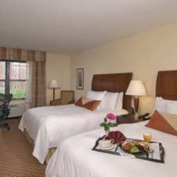 Pokój Hilton Garden Inn Albany Medical Center Fotos