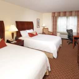Pokój Hilton Garden Inn Albany Medical Center Fotos