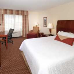 Pokój Hilton Garden Inn Albany Medical Center Fotos