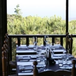Ресторан Hapimag Resort Mas Nou Fotos