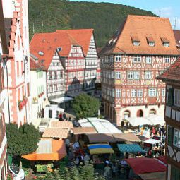 Ausblick Schwanen im City Fotos