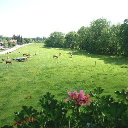 Vista Bauernhof Gästehaus Kordes-Zellermair Fotos