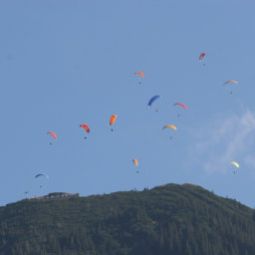Ausblick Ferienwohnungen Gasthof Glasl Fotos