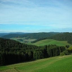 Вид Salenhof Schwarzwaldgasthaus Fotos