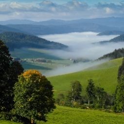 Вид Salenhof Schwarzwaldgasthaus Fotos