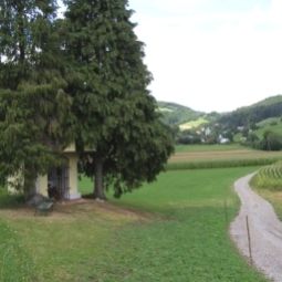  Bauernhof Forstbauer Fotos