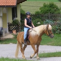  Bauernhof Forstbauer Fotos