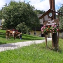  Bauernhof Forstbauer Fotos
