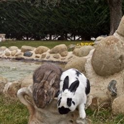 Außenansicht Agri Rio Fotos