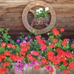  Bauernhof Außer Roßmoos Fotos
