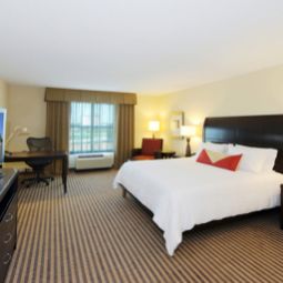 Zimmer Hilton Garden Inn Atlanta Airport North Fotos