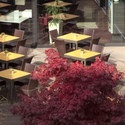 Holiday Inn Express ZÜRICH AIRPORT Rümlang 