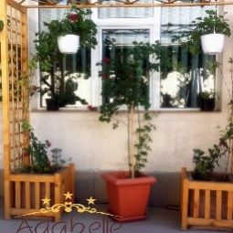 Terrasse Adabelle Hotel Brasov Fotos