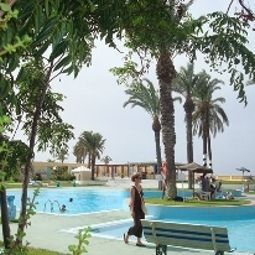 Piscine Palmiers Fotos