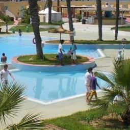Piscine Palmiers Fotos
