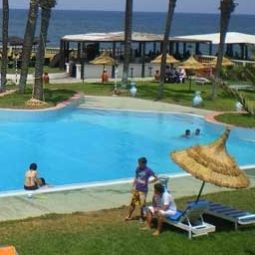 Piscine Palmiers Fotos