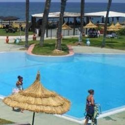 Piscine Palmiers Fotos