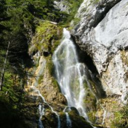  Bauernhof Hintereggerhof Fotos