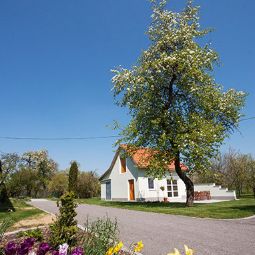 Vue extérieure Bauernhof Landhaus Essl Fotos