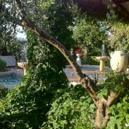 Garten Sataru Resort Fotos