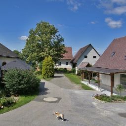 Bauernhof Wohlfühlbauernhof Siebernegg Eibiswald 