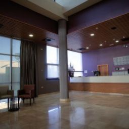 Hall Sevilla Palmera Fotos