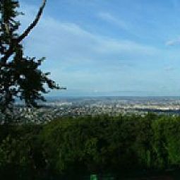 Ausblick Budai Sport Fotos