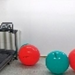 Fitness Don Bosco Fotos