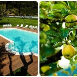 Бассейн ECO AMBIENT HOTEL ELDA Fotos