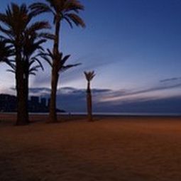 Widok z hotelu Marconfort Flamingo Playa Aparthotel Fotos