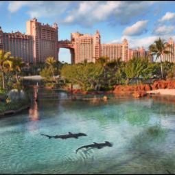 Photos des hôtels  Atlantis Paradise Island