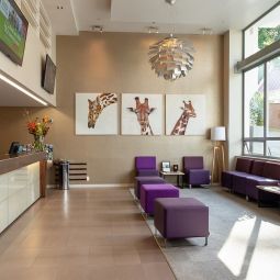 Boulcott Suites Kelburn 