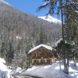 Les Sapins Logis Montriond 